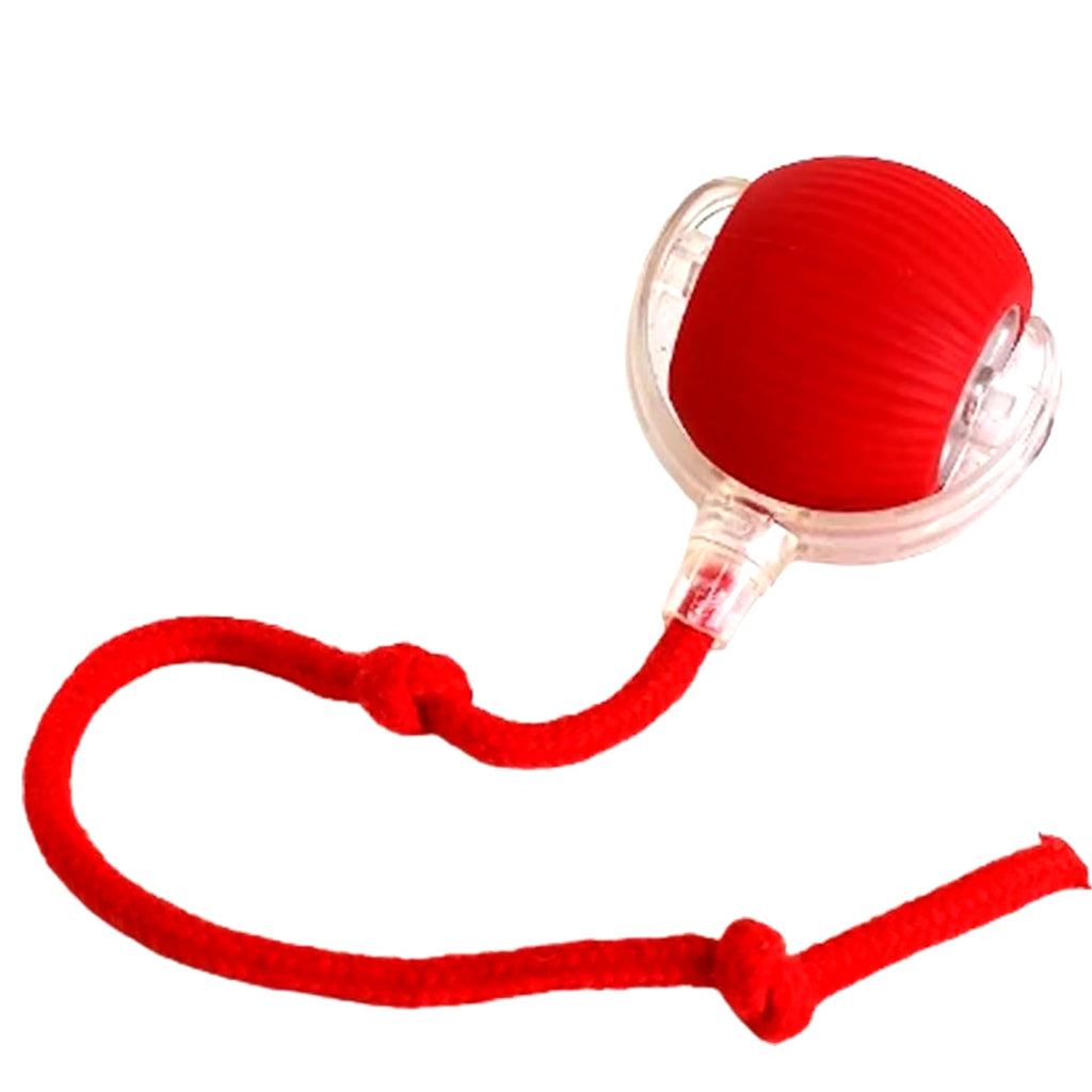 FurryFriend Smart Roller Ball