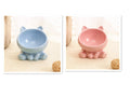 Ceramic Pet Food Bowl