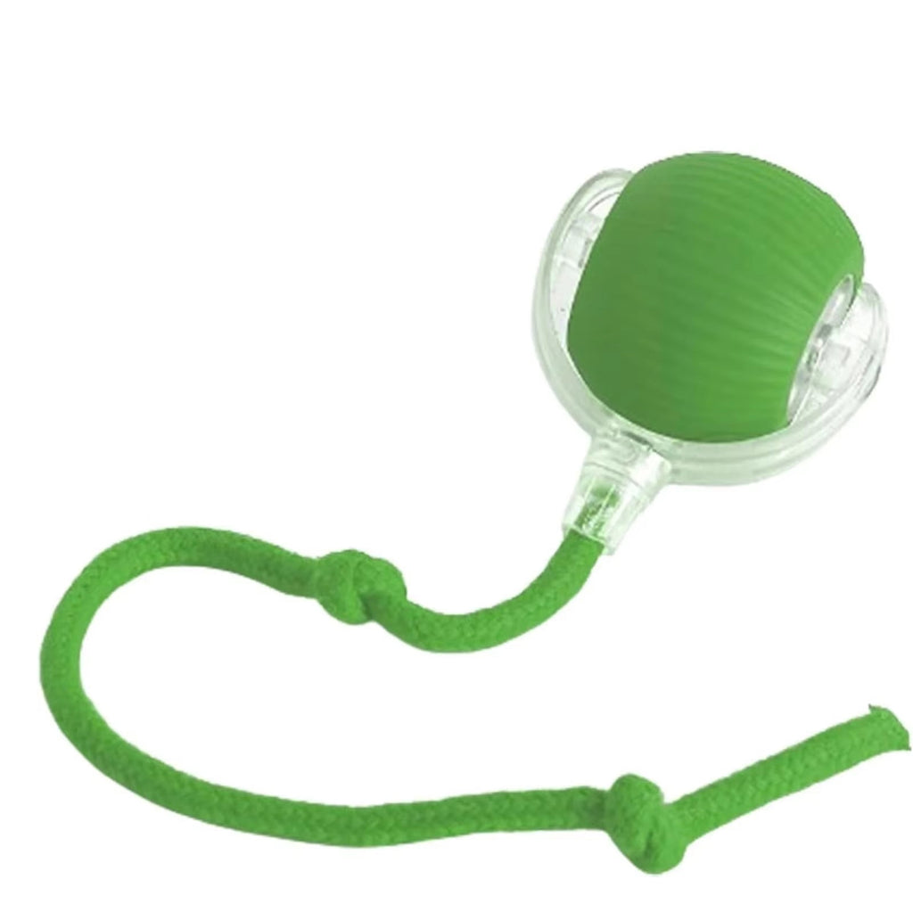 FurryFriend Smart Roller Ball